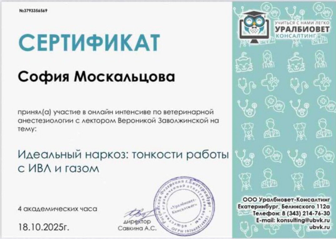 Документ или сертификат