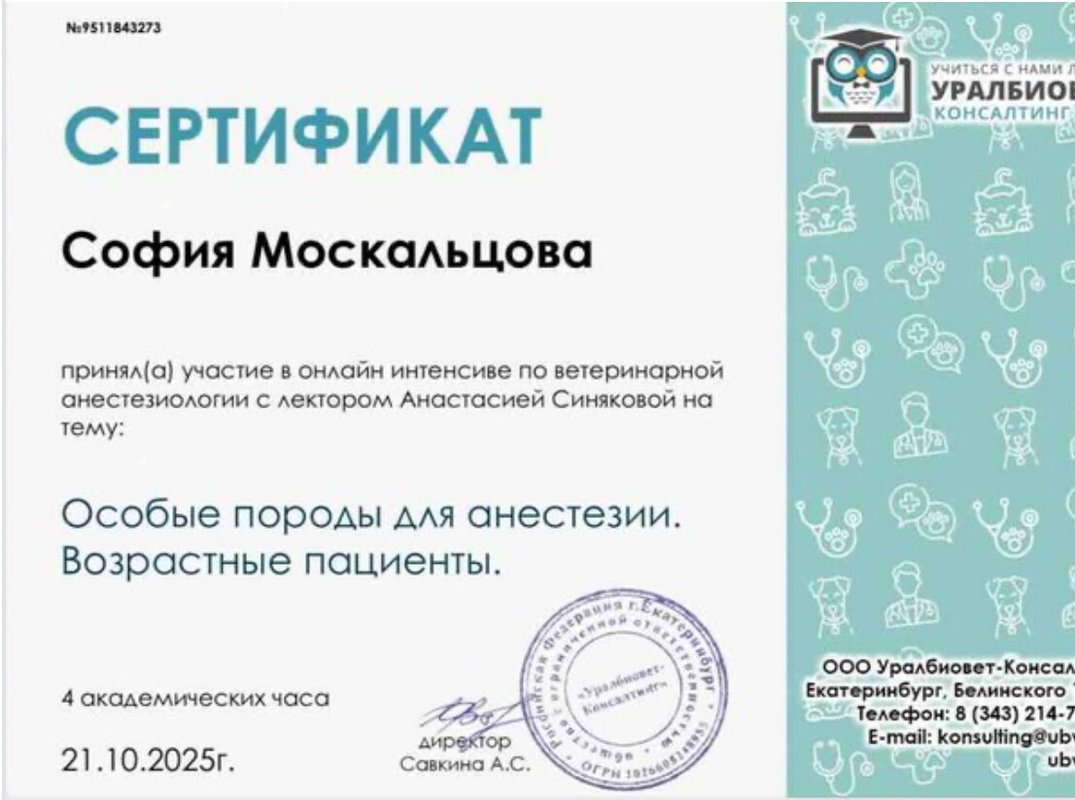Документ или сертификат