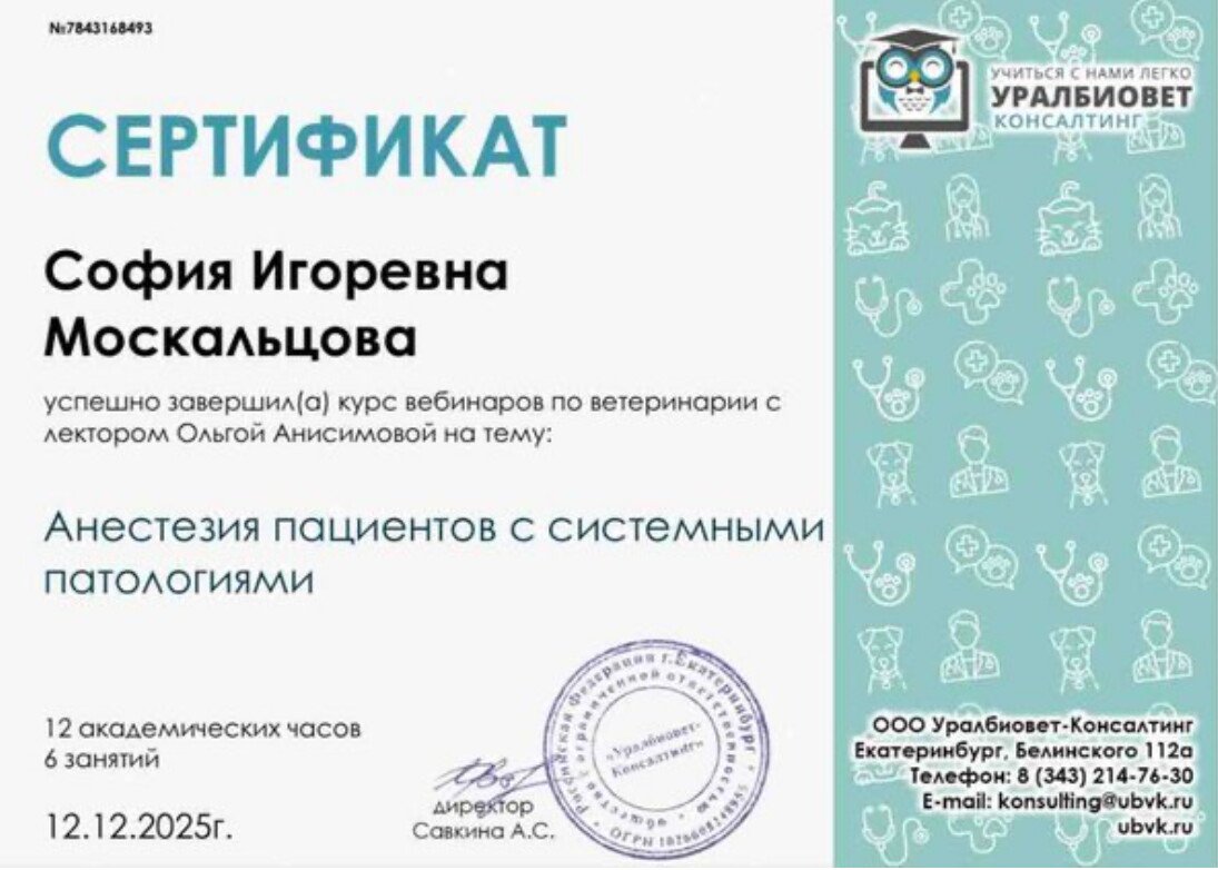 Документ или сертификат