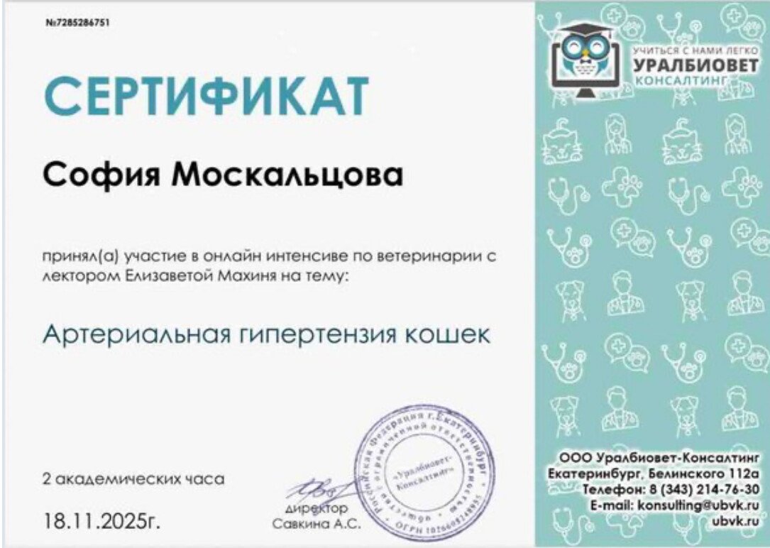 Документ или сертификат
