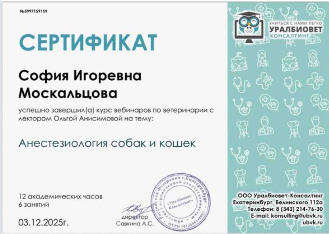 Документ или сертификат