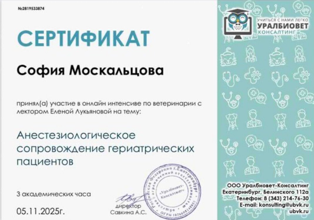 Документ или сертификат