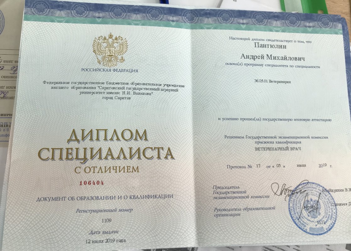 Документ или сертификат