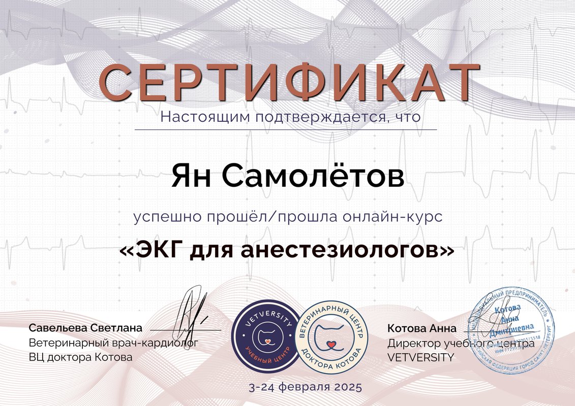 Документ или сертификат