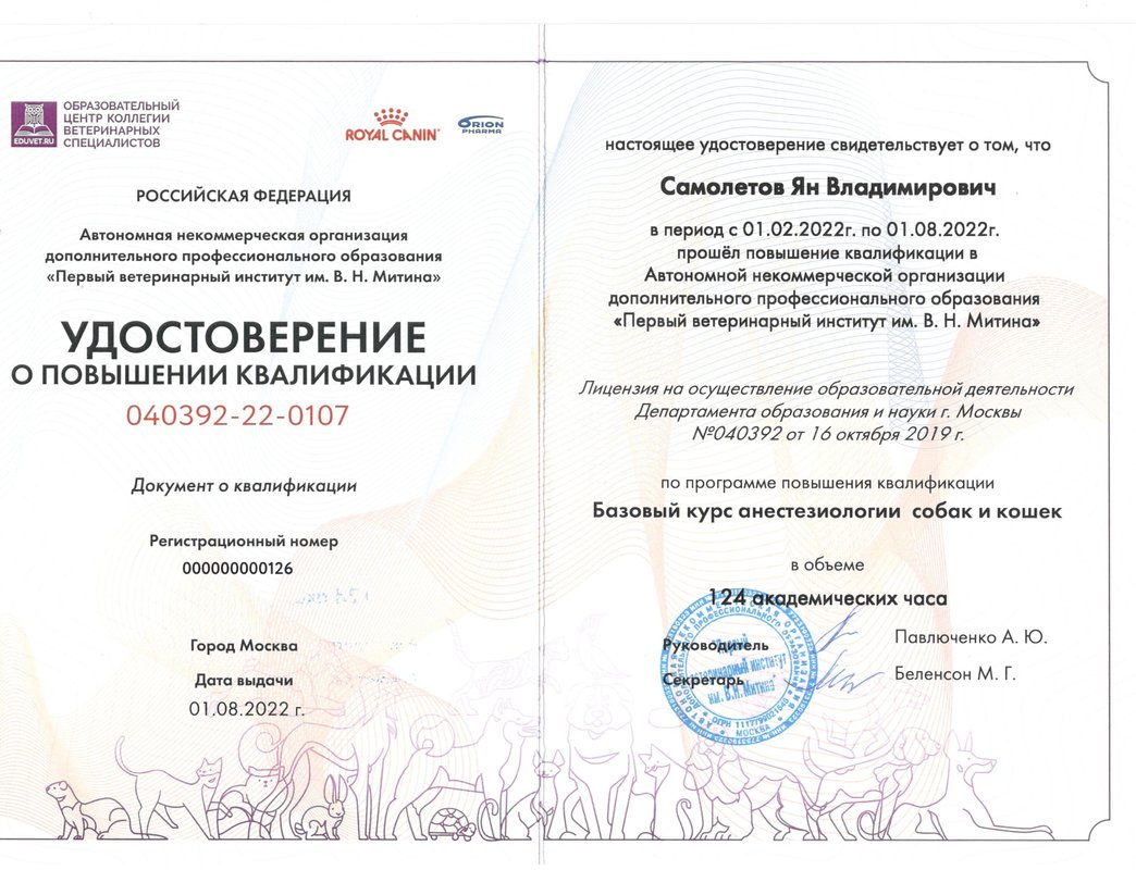 Документ или сертификат