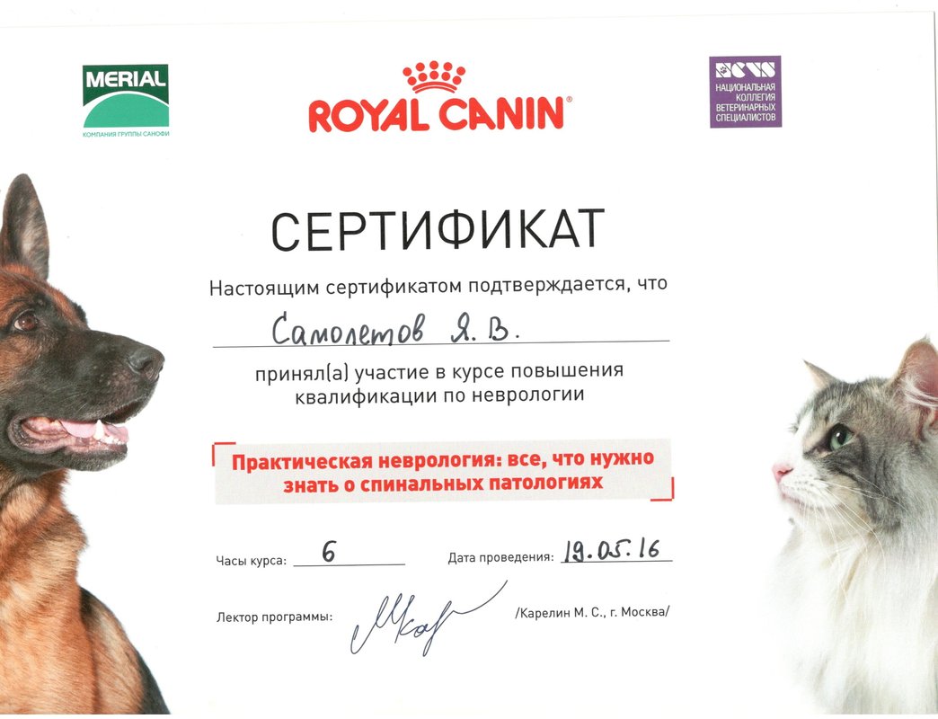 Документ или сертификат