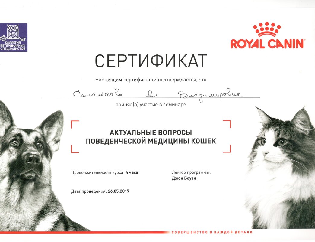 Документ или сертификат
