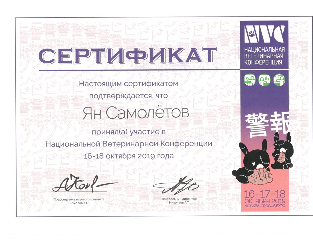 Документ или сертификат