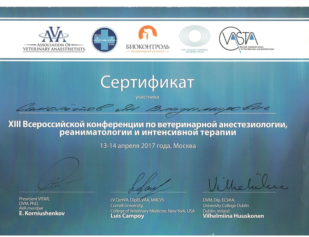 Документ или сертификат