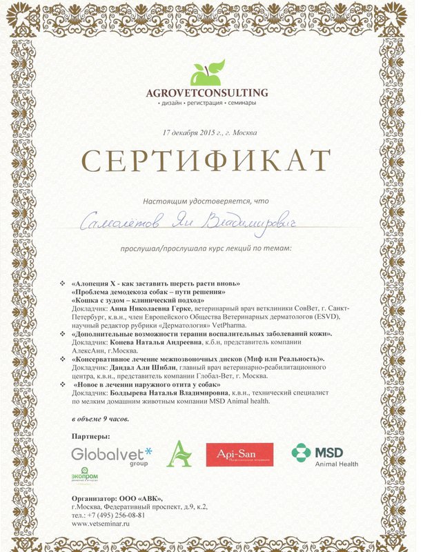 Документ или сертификат