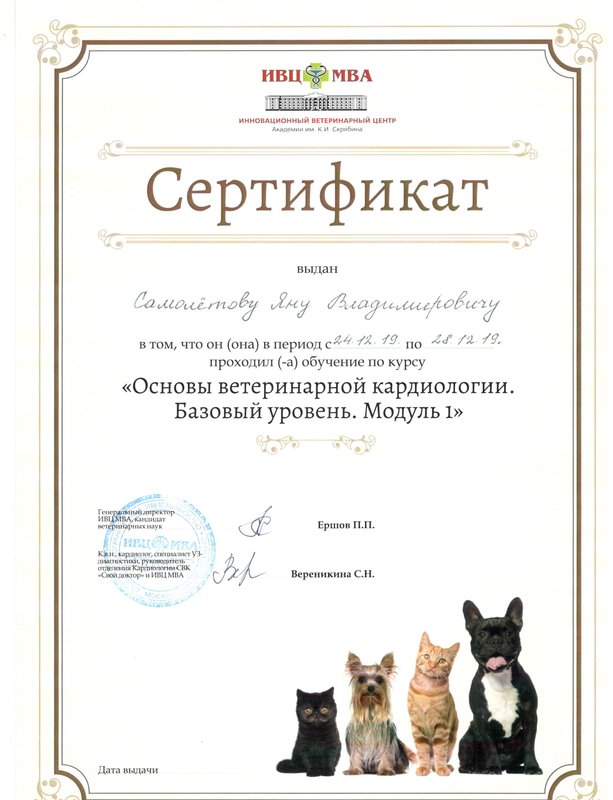 Документ или сертификат