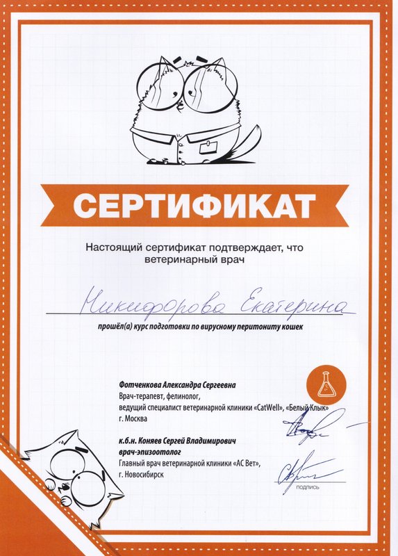Документ или сертификат