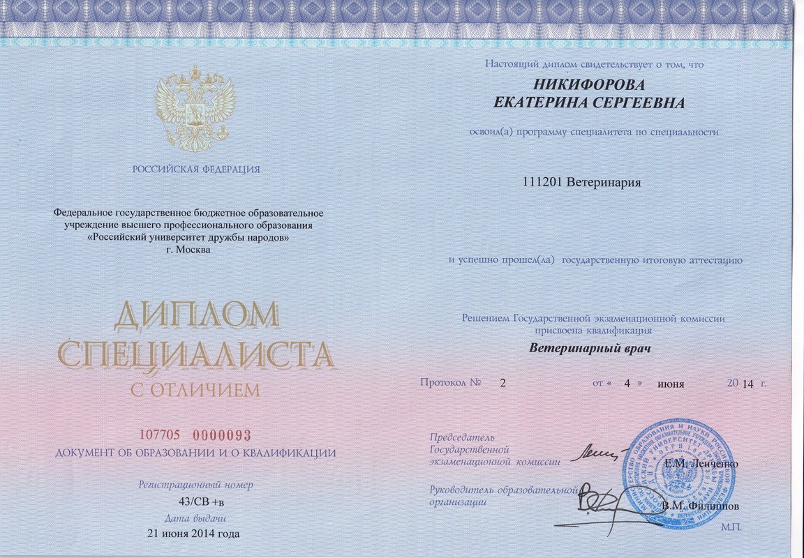 Документ или сертификат