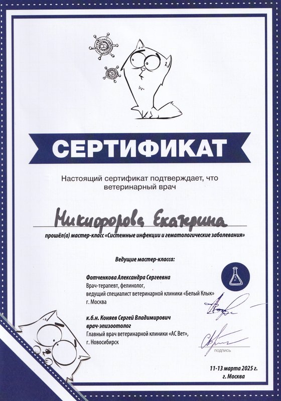 Документ или сертификат