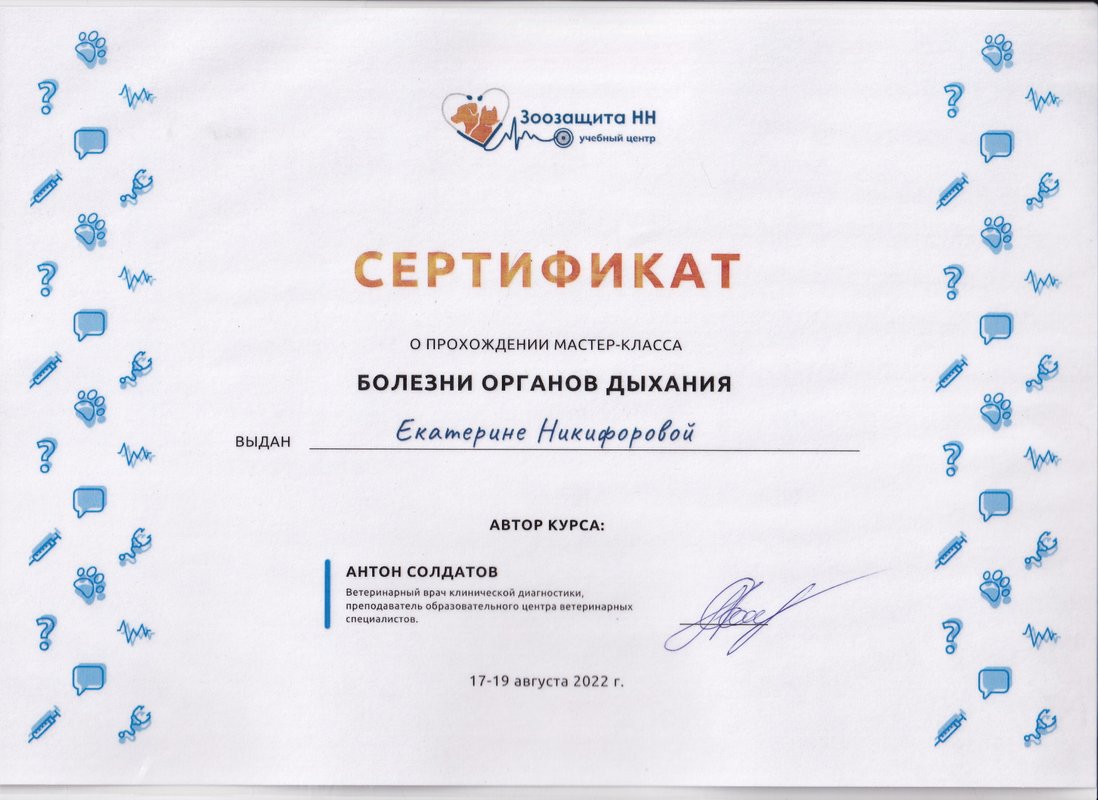 Документ или сертификат