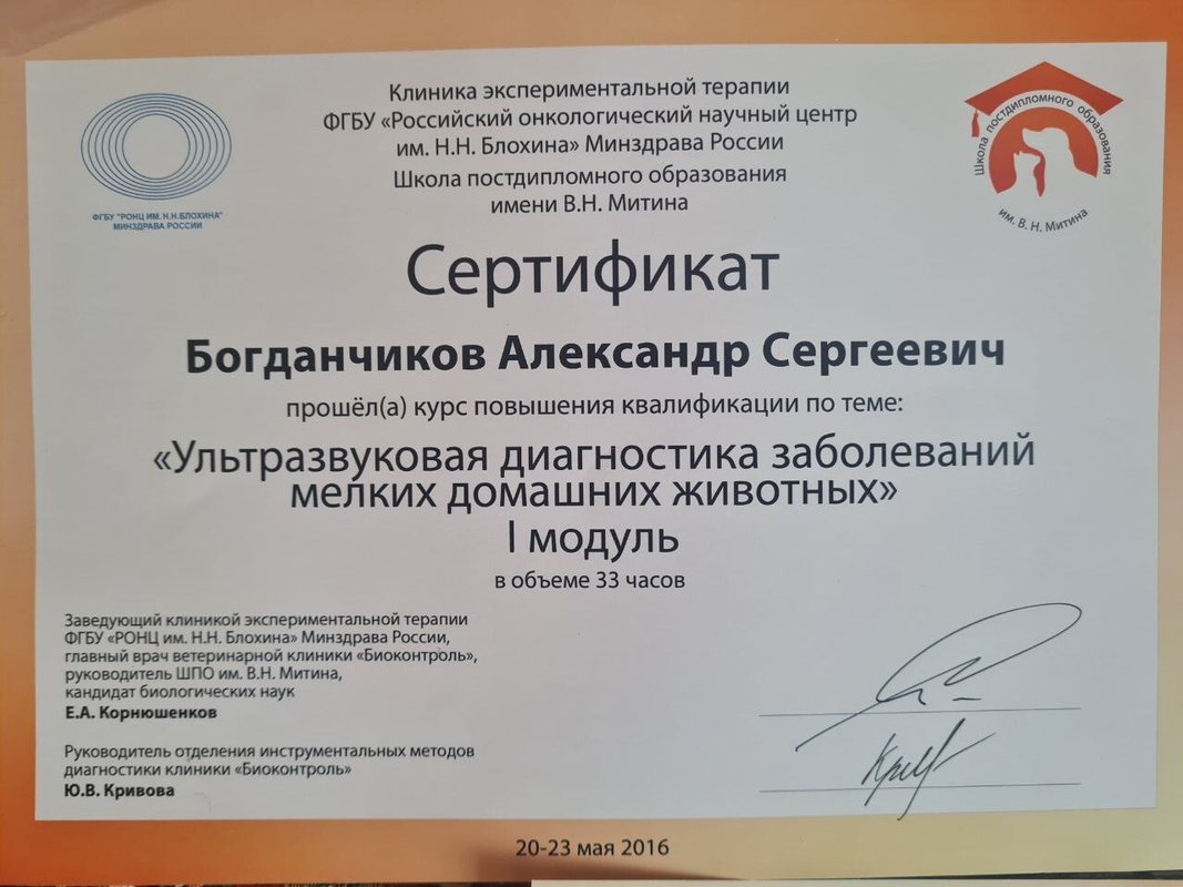 Документ или сертификат