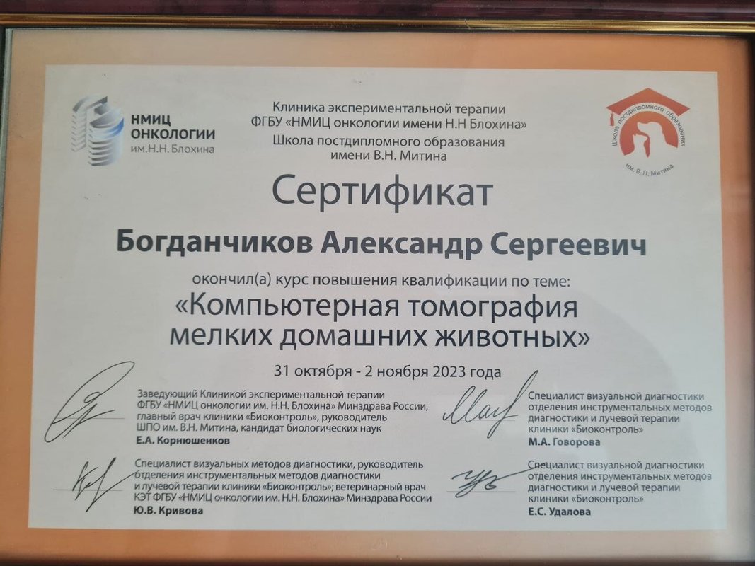 Документ или сертификат
