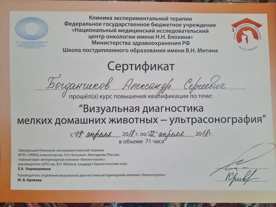 Документ или сертификат