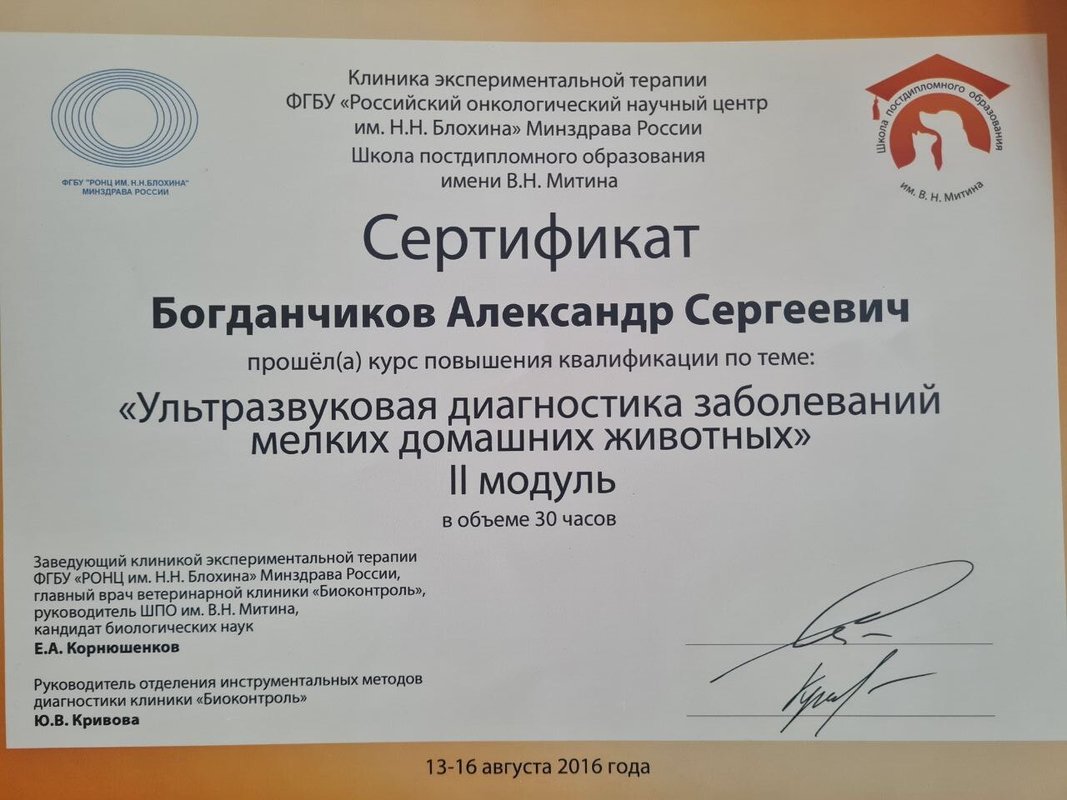Документ или сертификат