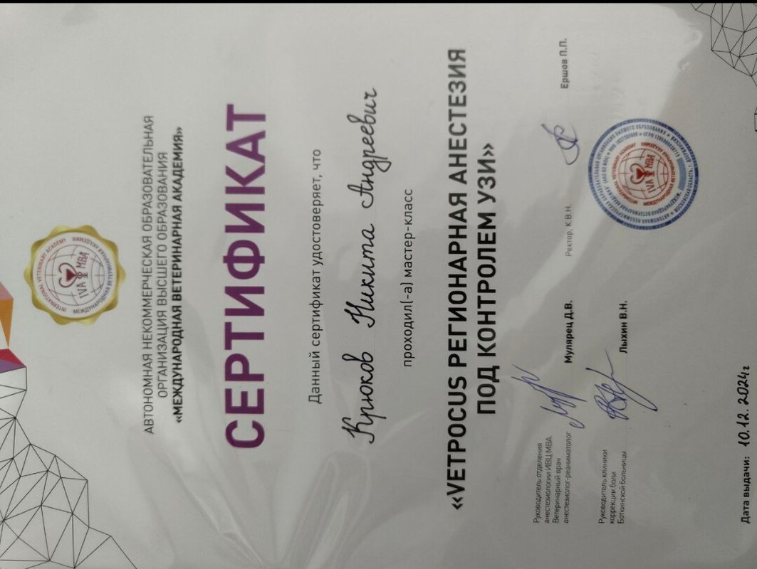 Документ или сертификат
