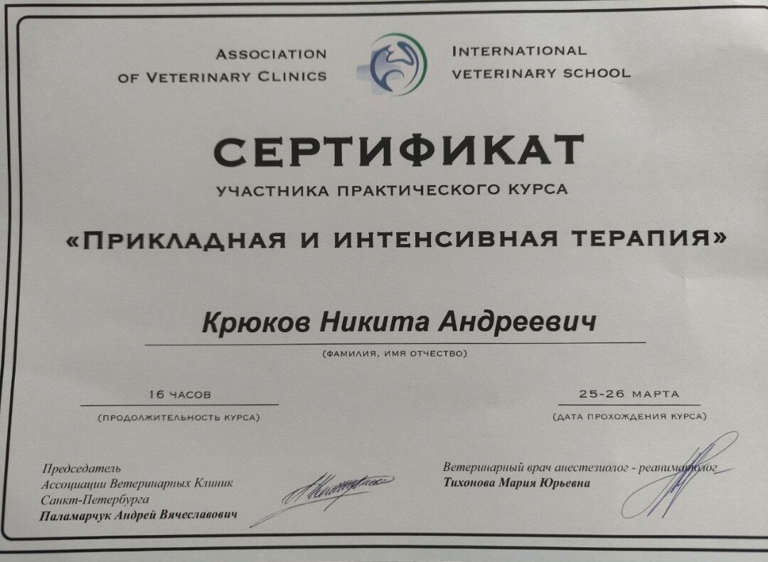 Документ или сертификат