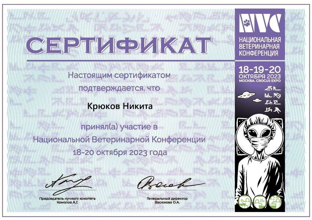 Документ или сертификат