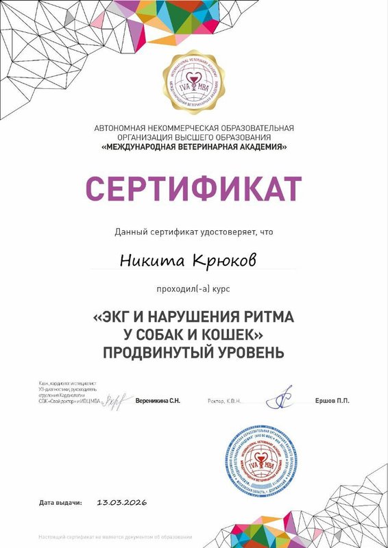 Документ или сертификат