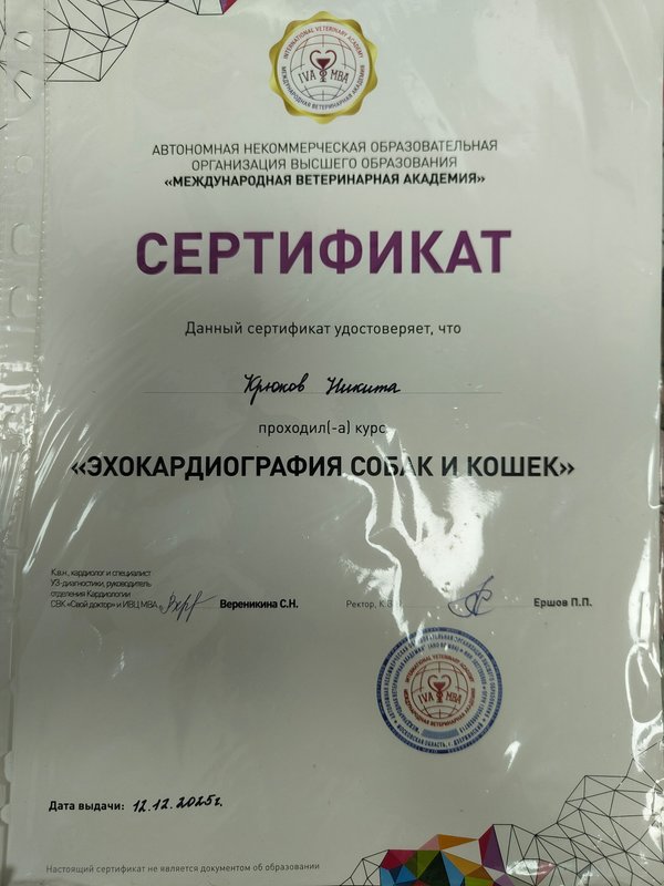 Документ или сертификат