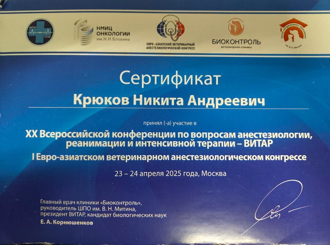 Документ или сертификат