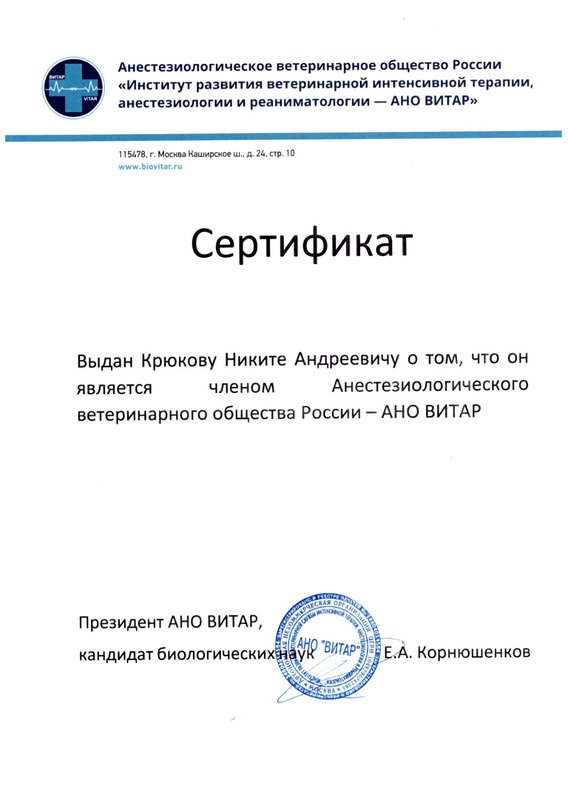 Документ или сертификат