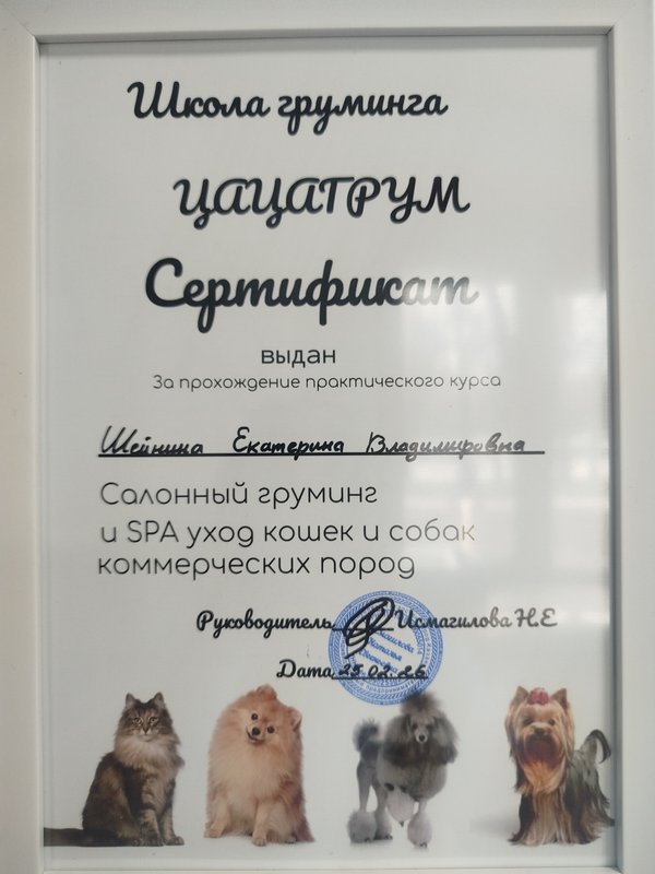 Документ или сертификат