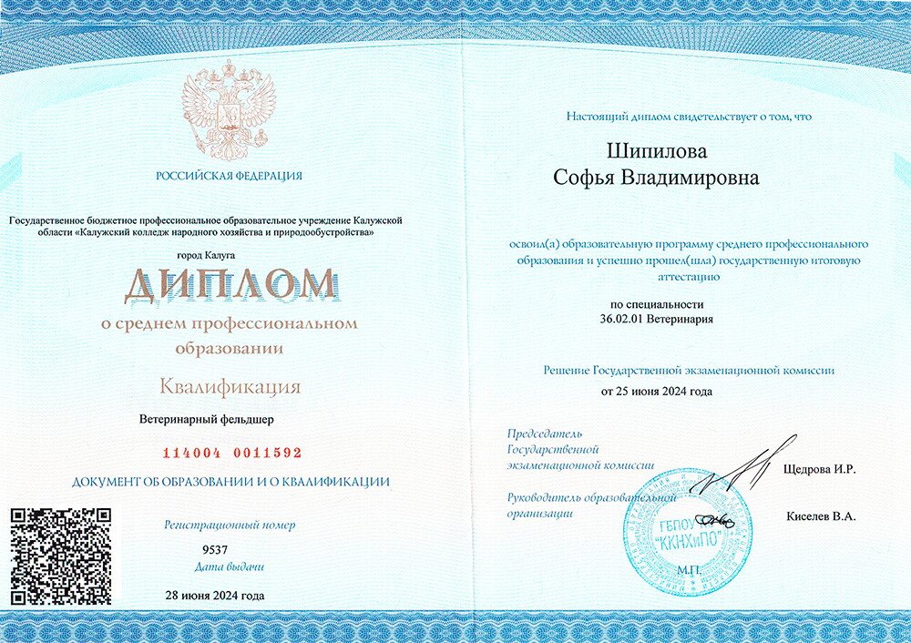 Документ или сертификат