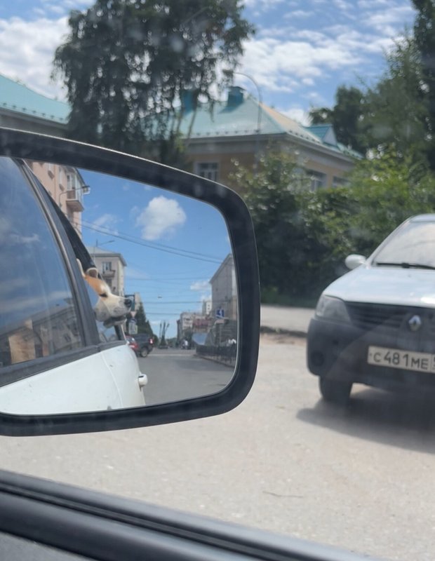 Фото врача