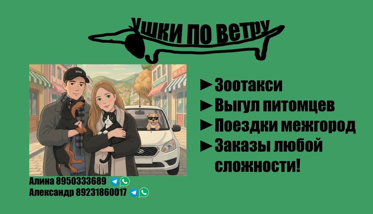 Фото врача