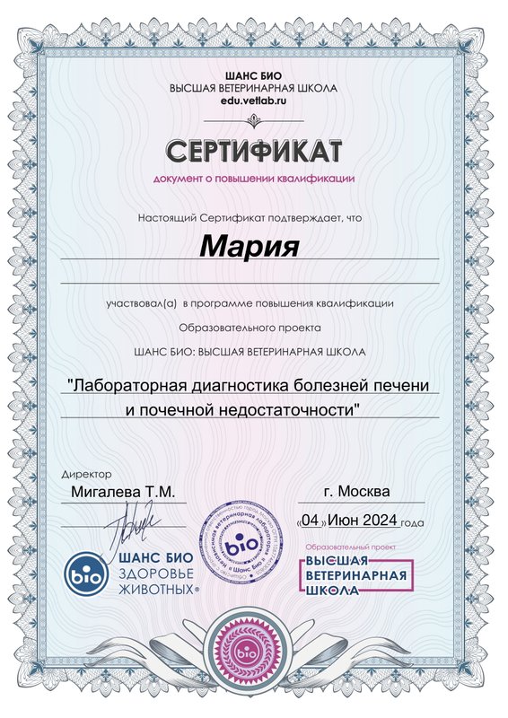 Документ или сертификат