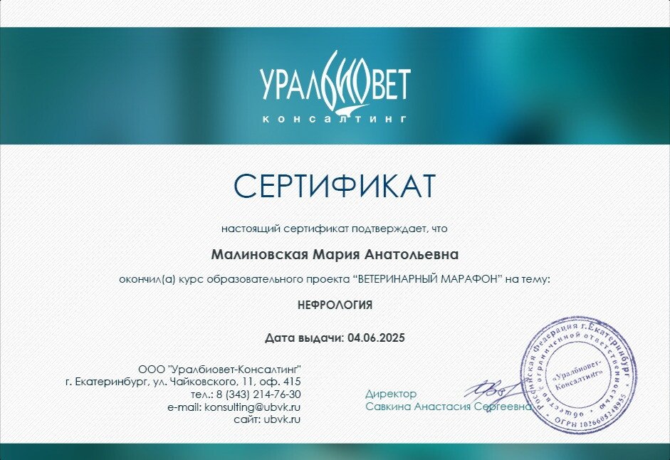 Документ или сертификат