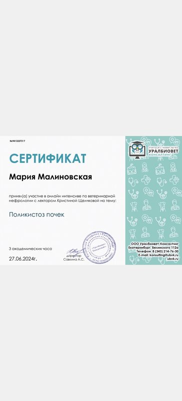 Документ или сертификат