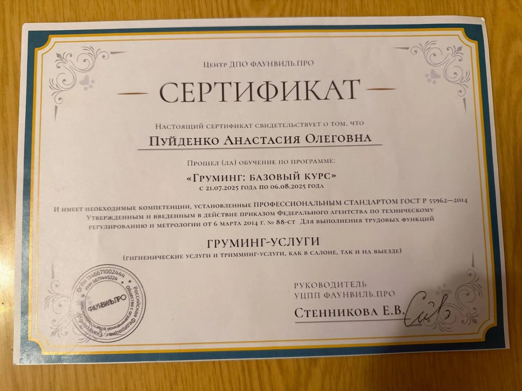 Документ или сертификат