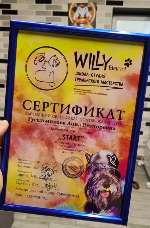 Документ или сертификат