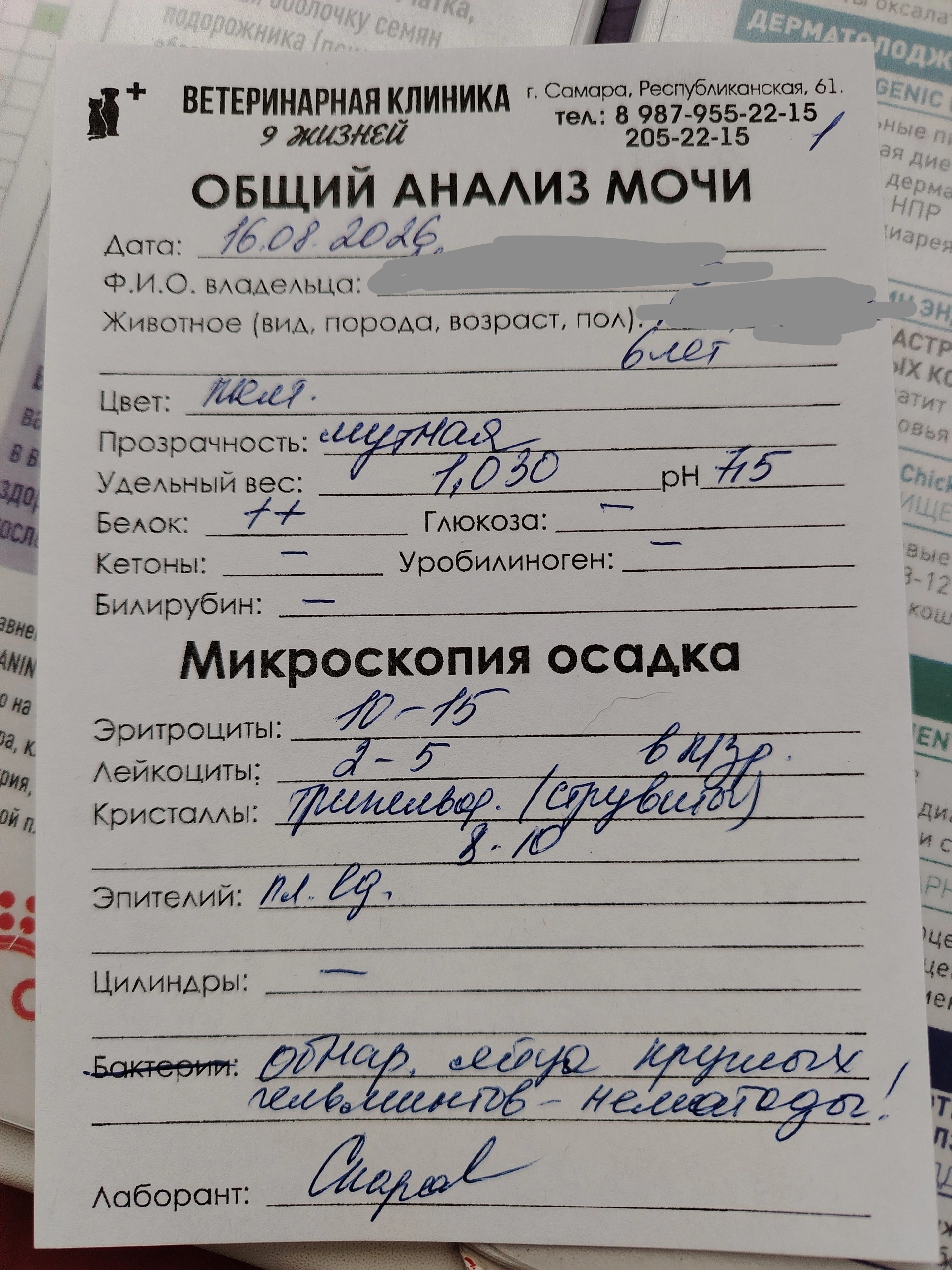 Фото к отзыву