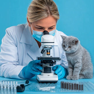 ветеринарная лабораторная диагностика