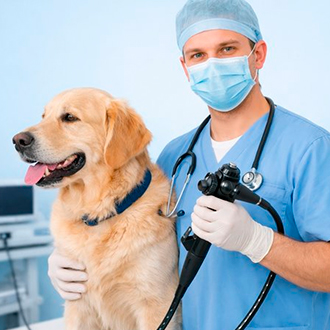 эндоскопист