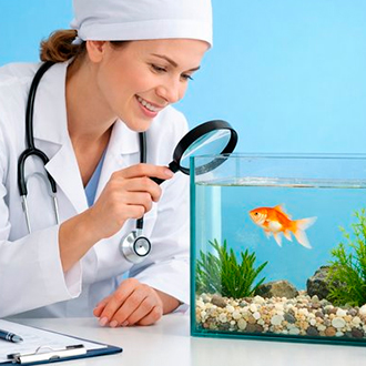 ихтиопатолог