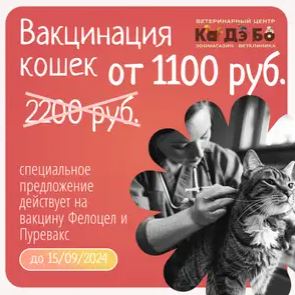 Акция СКИДКИ на вакцинацию для кошек!