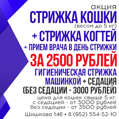 Акция Стрижка кошки + когти - 2500 рублей!