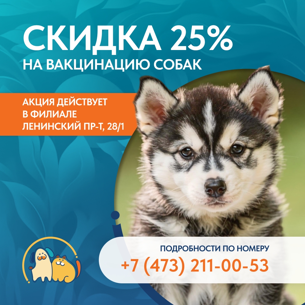 Акция Скидка 25% на вакцинацию собак в "Здоровье Животных"