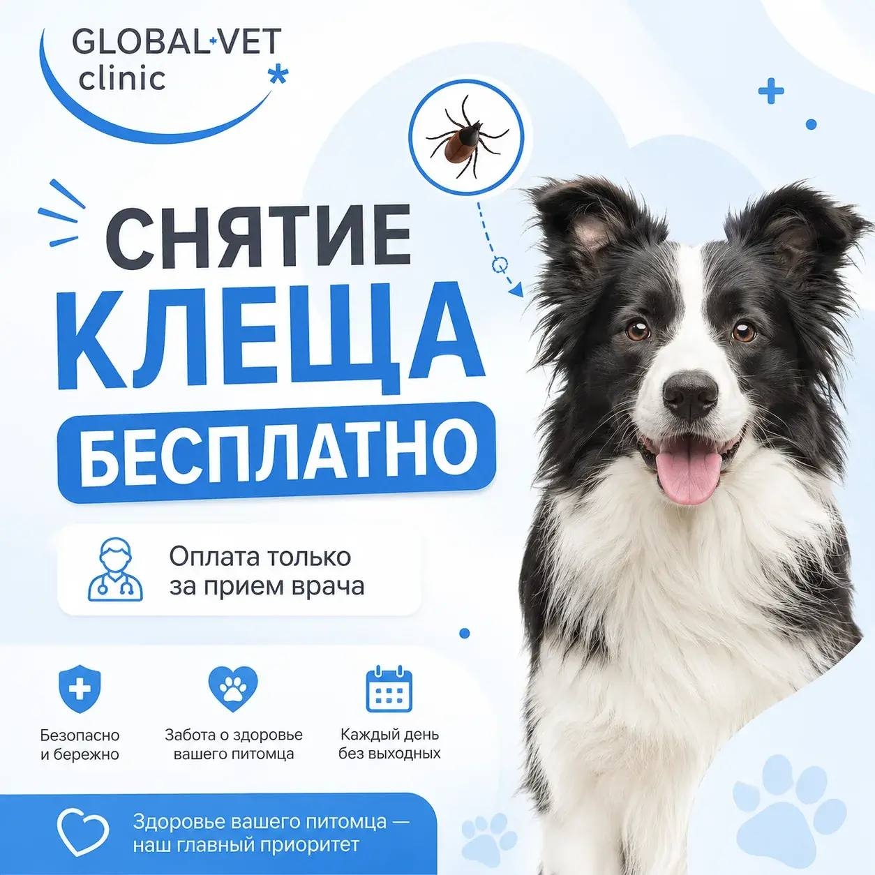 Акция Cнятие клеща бесплатно!